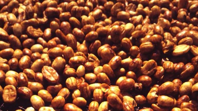 tuestecalidad2 café fresco