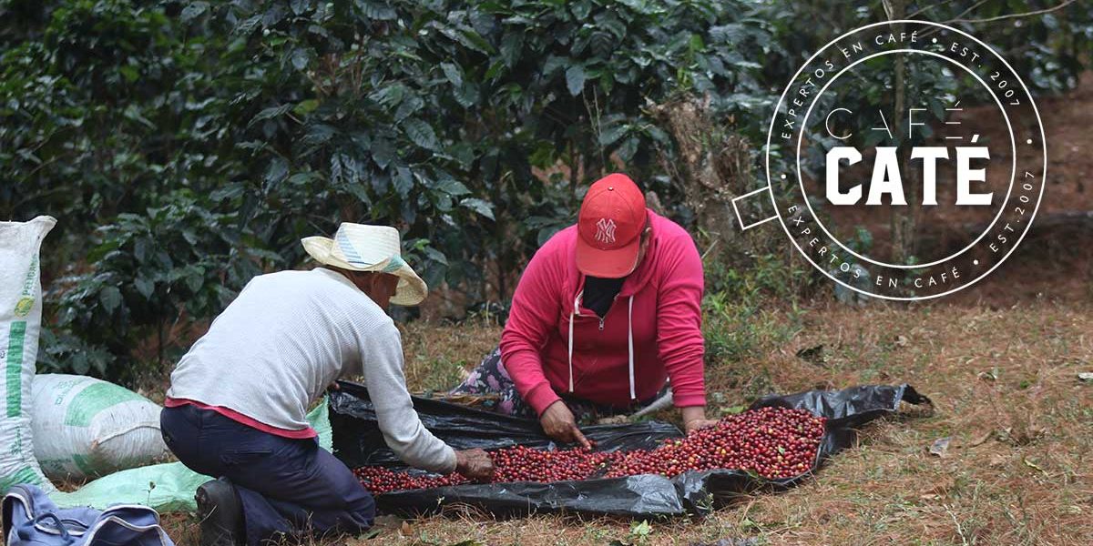 1mayo2018c 1 de mayo 2018