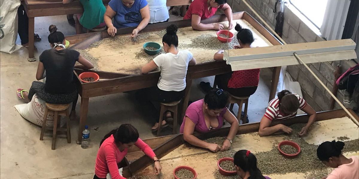 cafe cate dia de la madre 2018