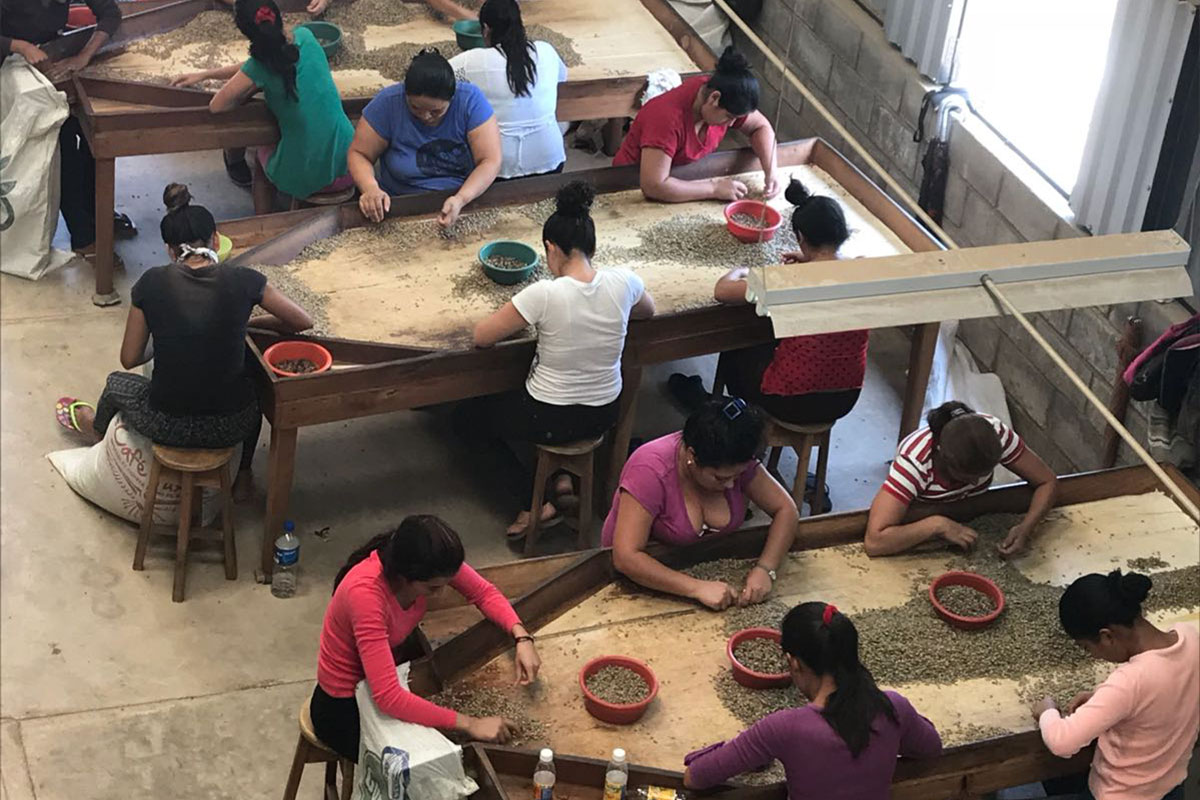 cafe cate dia de la madre 2018